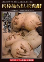 肉棒掻き出し脱糞AF