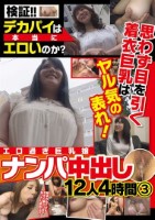 検証!!デカパイは本当にエロいのか?..