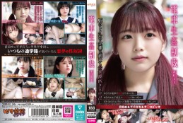 電車生姦制裁 #011